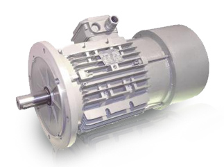 SW Brake Motors
