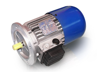 FK Brake Motors